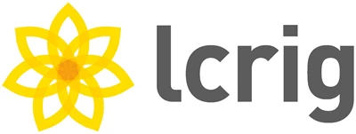 Local Council Roads Innovation Group logo